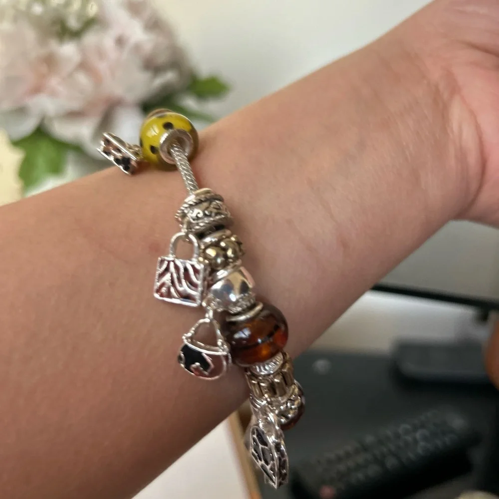 Elegant Silver and Brown Charm Bracelet